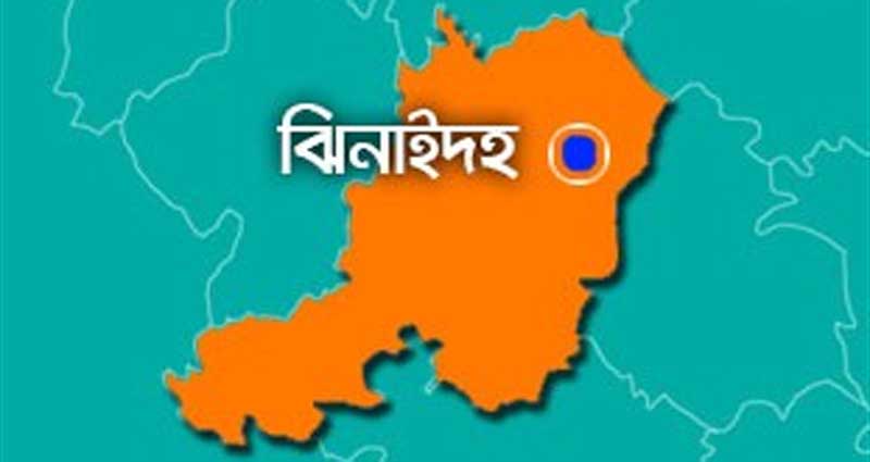 ঝিনাইদহে আগুনে পুড়ে গেছে ৩ টি গরুসহ দগ্ধ এক কৃষক