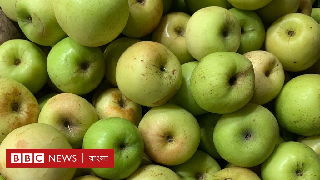 আসন্ন রোজার ইফতারিতে শস্তা বরই কি দামী খেজুরের বিকল্প হতে পারে? আসন্ন রোজার ইফতারিতে শস্তা বরই কি দামী খেজুরের বিকল্প হতে পারে?