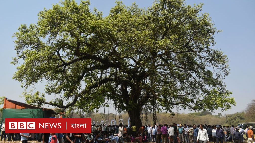 ভারতের ভোট : এই মারাত্মক গরমে নির্বাচনের জন্য দায়ী যে নেতা ভারতের ভোট : এই মারাত্মক গরমে নির্বাচনের জন্য দায়ী যে নেতা