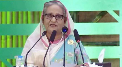 অন্তত একটি করে ফলদ-বনজ-ভেষজ গাছ লাগান: প্রধানমন্ত্রী