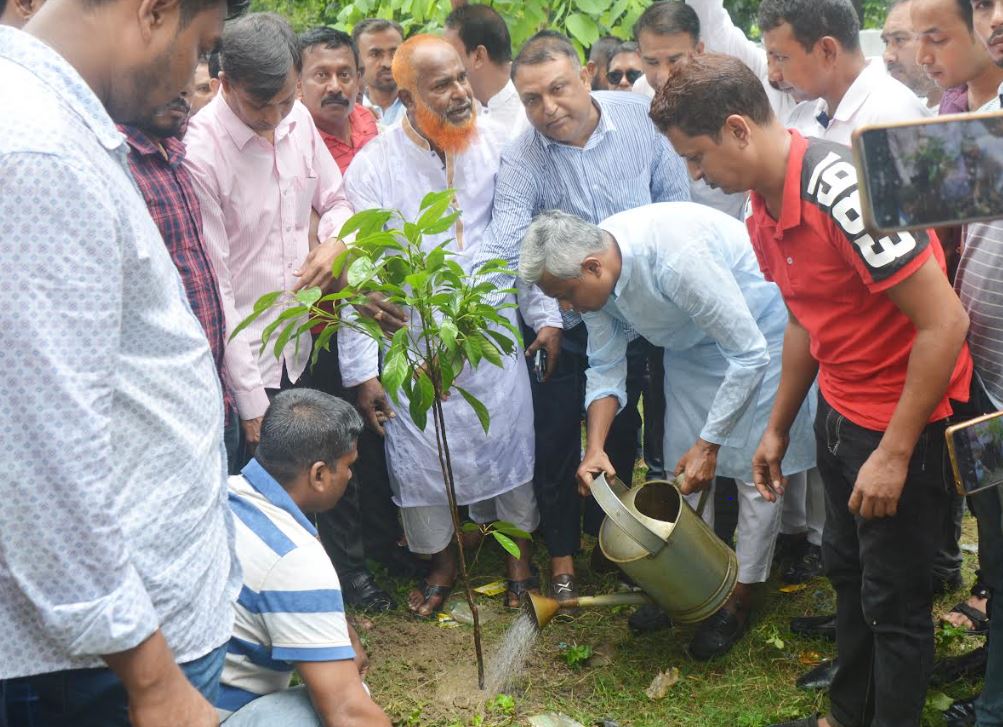 বিএনপির প্রতিষ্ঠা বার্ষিকী উপলক্ষে যশোরে বিভিন্ন শিক্ষা প্রতিষ্ঠানে বৃক্ষ রোপণ