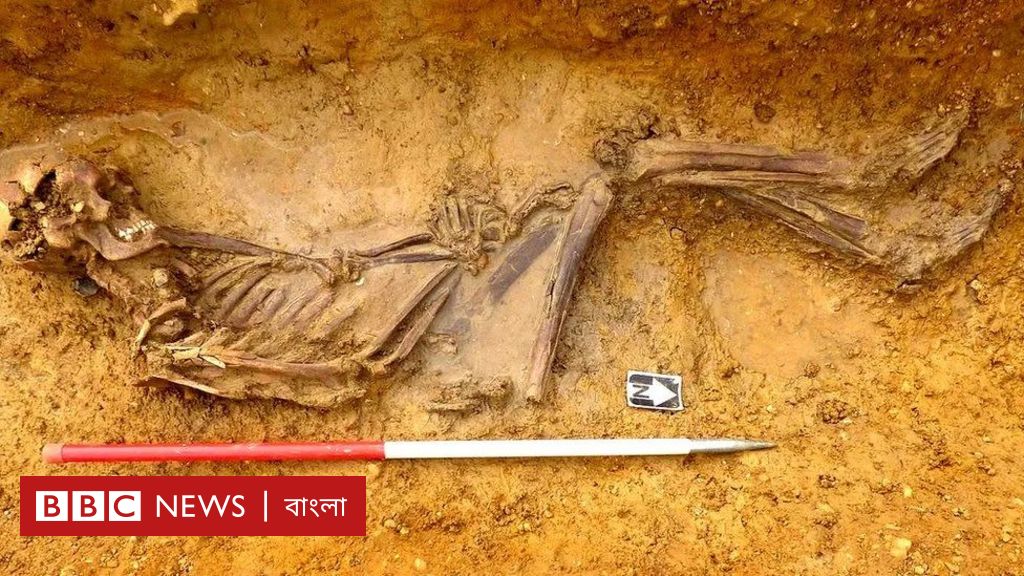 ২০০০ বছরের পুরনো মরদেহের ডিএনএ থেকে জানা গেলো যত চমকপ্রদ তথ্য