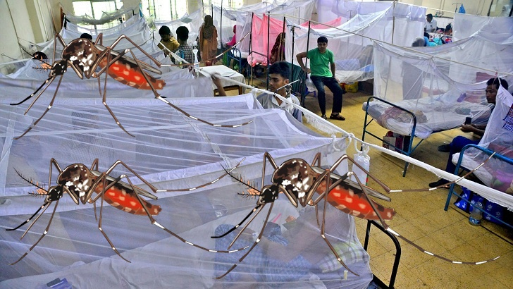আগস্ট-সেপ্টেম্বরে ভয়াবহ ডেঙ্গুর শঙ্কা